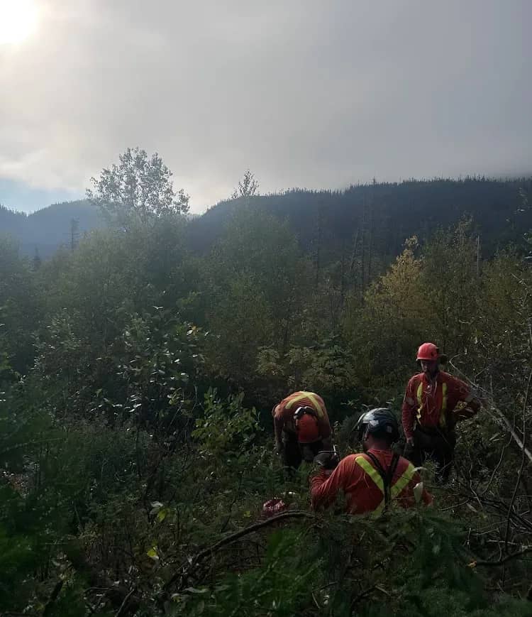 Équipe Pirax en déboisement en forêt
