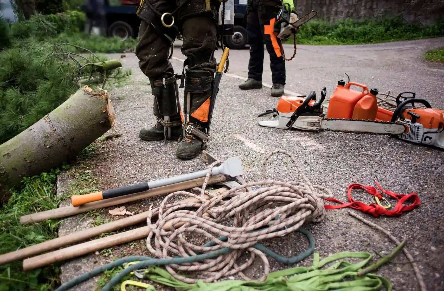 Équipement d’abattage : scies à chaîne et cordages
