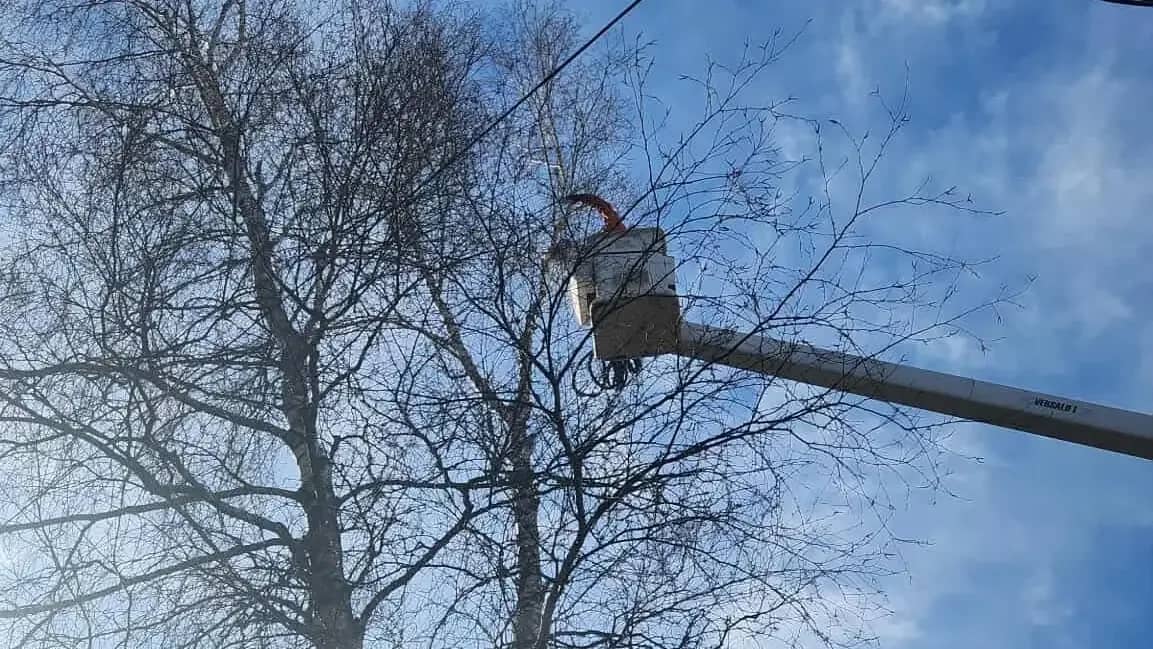 Coupe de branches depuis une nacelle
